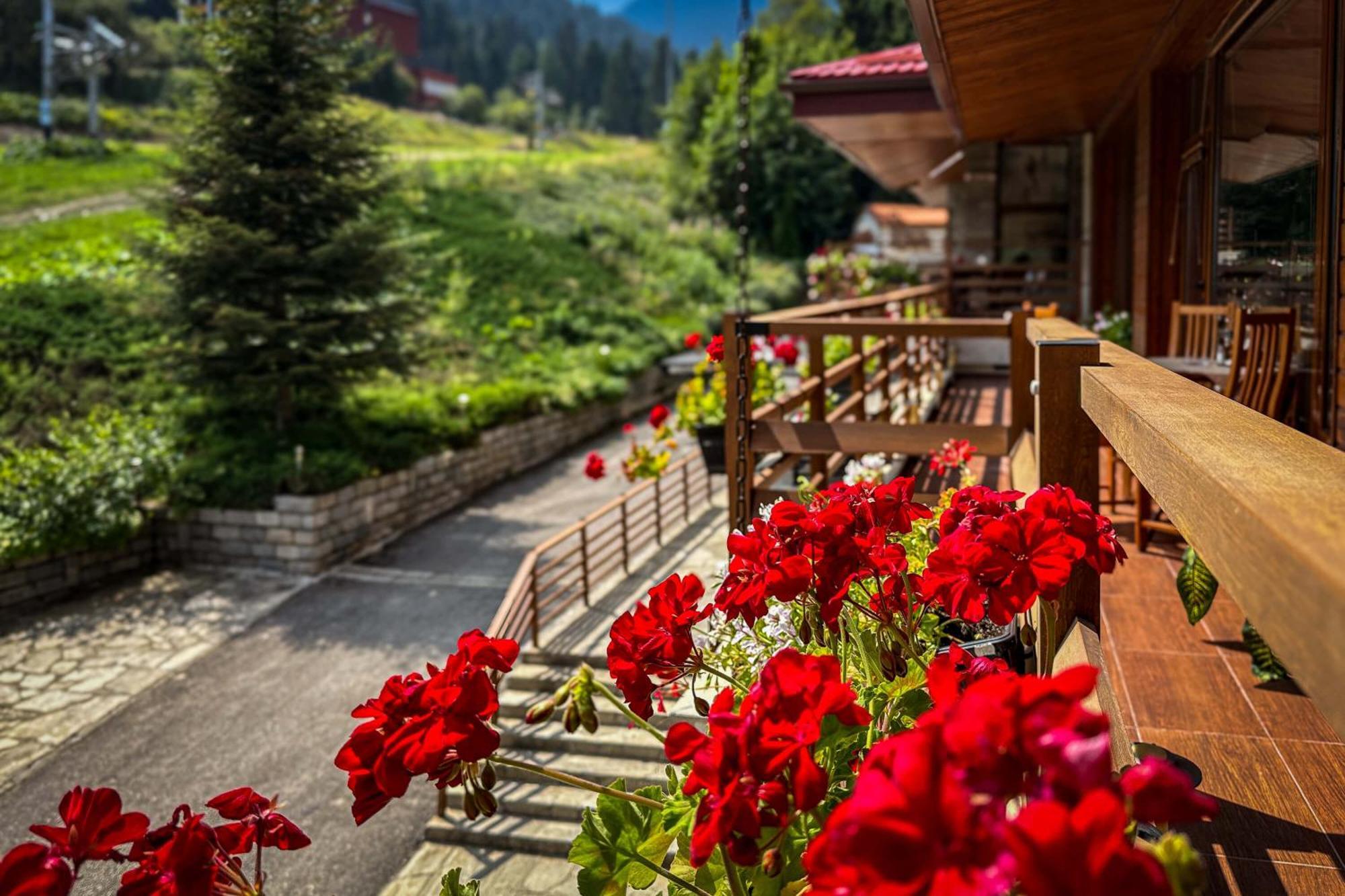 Musala Hotel Boroveț Exterior foto